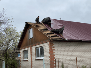 Сорвало лист ветром